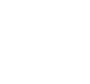 Npbull